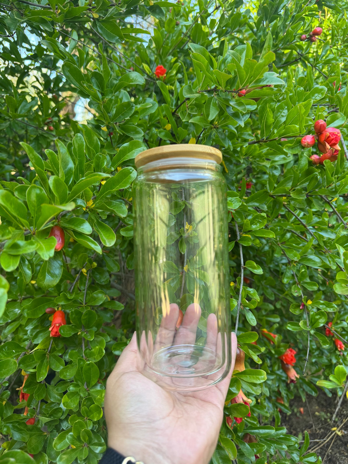 20oz Glass Snowglobe