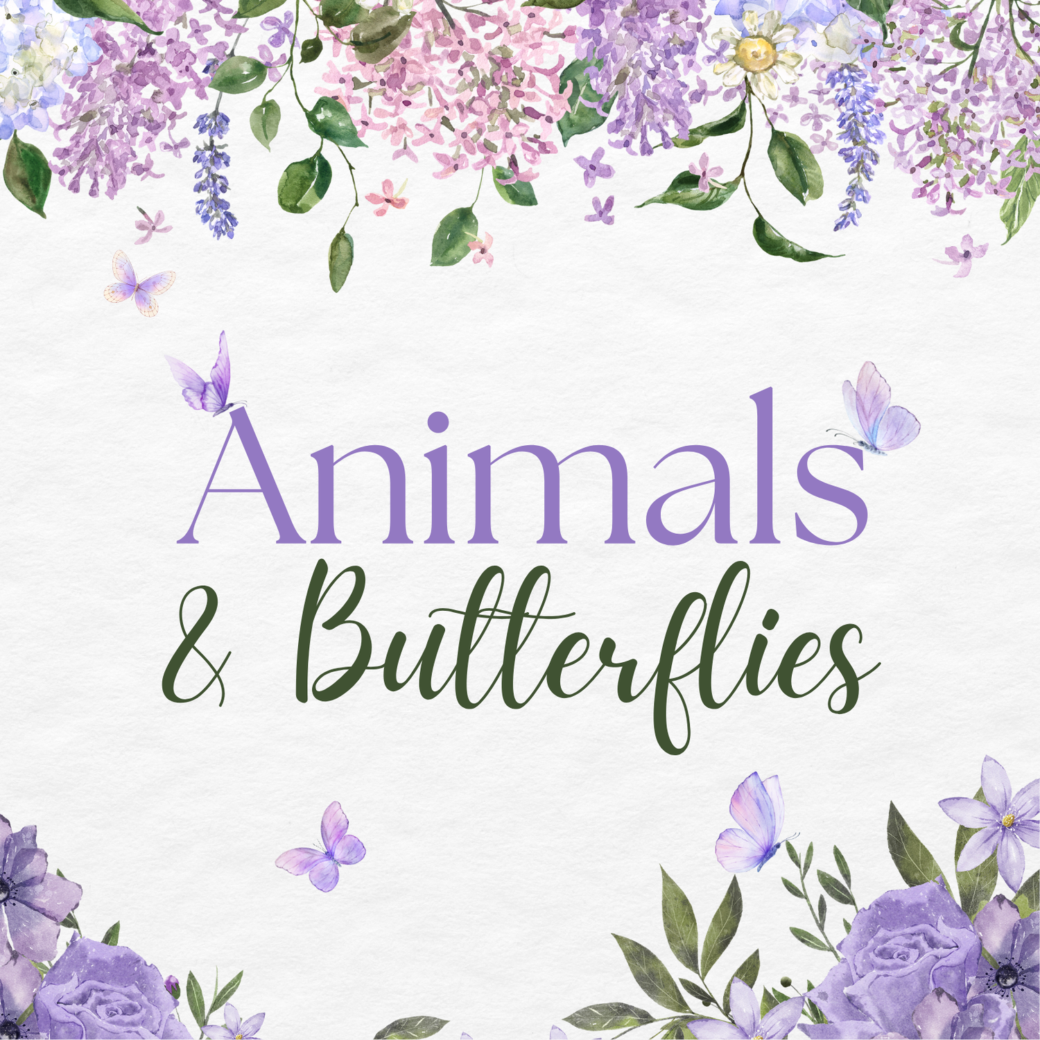 Animals & Butterflies