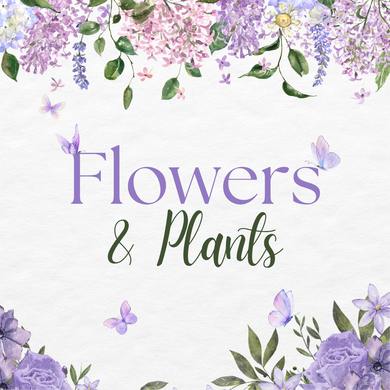 Flowers & Plants